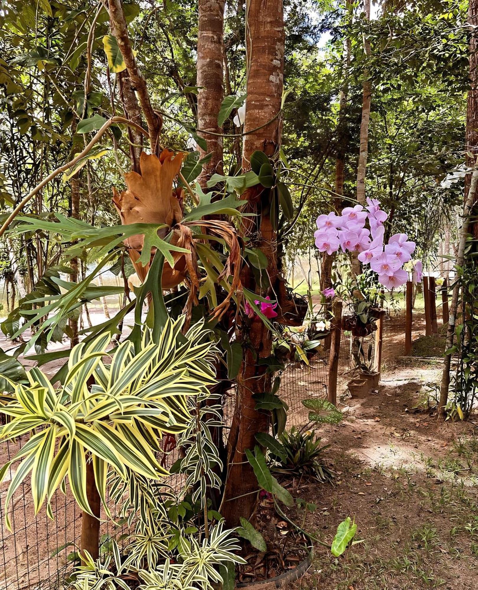 Holiday home Casa Do Mata de Sao Joao